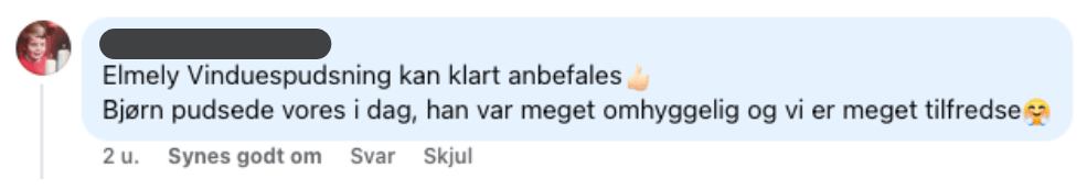 Elmely Vinduespudsning anmeldelse